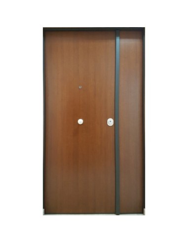 Portone blindato a 2 ante con pannello liscio