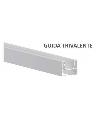Guida trivalente